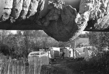 Як в Харкові жив мадярський табір репортаж «» суспільство України (табір) Як в Харкові жив мадярський табір репортаж «» суспільство України