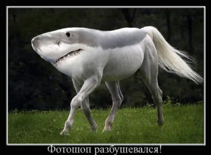 Як вирізати і зробити фон прозорим у фотошопі, photoshop (зробити) Як вирізати і зробити фон прозорим у фотошопі, photoshop