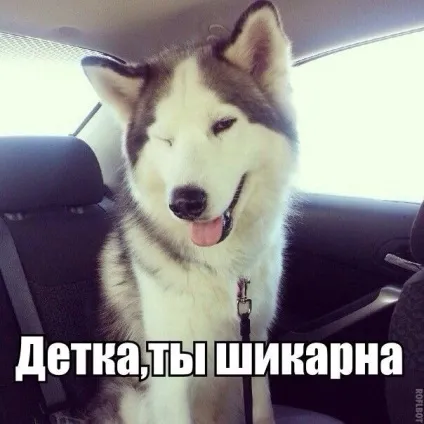 Як я вчилася співати