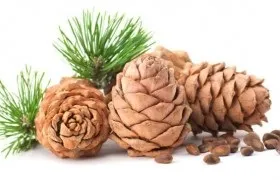 Арахіс - з сімейства бобових, корисна рослина (горіхи) Арахіс - з сімейства бобових, корисна рослина