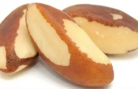 Арахіс - з сімейства бобових, корисна рослина (земляний горіх) Арахіс - з сімейства бобових, корисна рослина