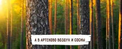 Артеково - перша туристична село в Ровноой області (дитячий табір) Артеково - перша туристична село в Ровноой області