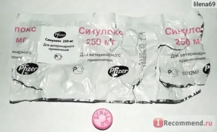 Антибіотик pfizer cінулокс - «у нашій кішки виявився трахеїт, але ми впоралися з ним! », Відгуки