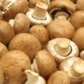 Як засолити гливи швидко і смачно (вешенки) Як засолити гливи швидко і смачно