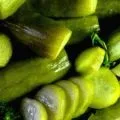 Як засолити гливи швидко і смачно (засолити) Як засолити гливи швидко і смачно