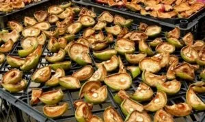Як заготовити груші на зиму сушені, в'ялені і заморожені