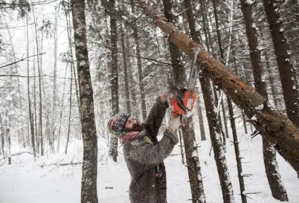 Як живе юрист, який проміняв столичний офіс на землянку в підмосковному лісі фото суспільство України (живе) Як живе юрист, який проміняв столичний офіс на землянку в підмосковному лісі фото суспільство України
