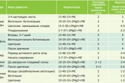 Крапельне зрошення полуниці на дачній ділянці (відео) (ділянці) Крапельне зрошення полуниці на дачній ділянці (відео)