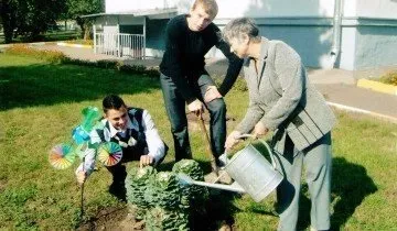 капуста декоративна