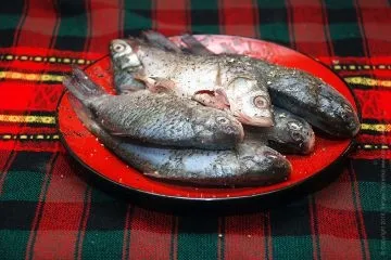 Карасі в сметані