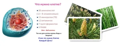 Клітинне харчування, здоров'я-інфо (клітинне харчування) Клітинне харчування, здоров'я-інфо