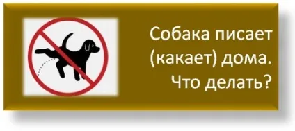 Книга - про що думає кінь, школа прикладної етології (кінь) Книга - про що думає кінь, школа прикладної етології