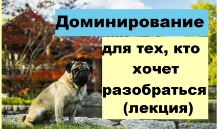 Книга - про що думає кінь, школа прикладної етології (думає) Книга - про що думає кінь, школа прикладної етології