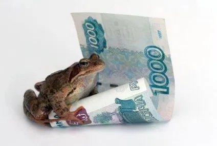 Кого і за що жаба душить (душить) Кого і за що жаба душить