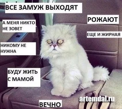 Коли вийдеш заміж як відповідати коли постійно запитують батьки