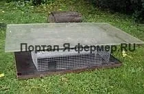 Корм в перші дні життя