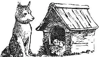 Корній Чуковський - вірші і казки - стор 12 () Корній Чуковський - вірші і казки - стор 12