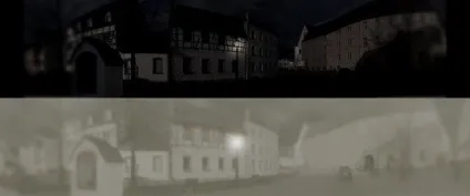 Кішки бачать в темноті, як днем