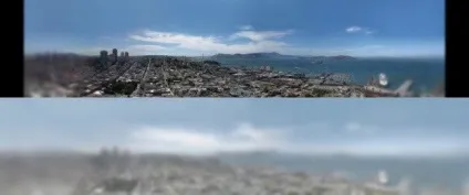 Кішки бачать в темноті, як днем