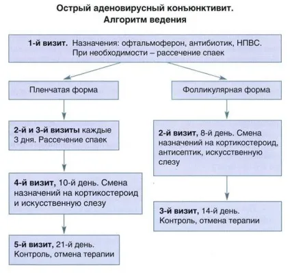 Кон'юнктивіт заразний чи ні, скільки днів, у дорослих, вірусний (кон'юнктивіт супроводжується виділенням) Кон'юнктивіт заразний чи ні, скільки днів, у дорослих, вірусний