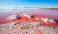 Кояшське (рожеве) озеро в криму - огляд з фото, де знаходиться на карті (рожеве) Кояшське (рожеве) озеро в криму - огляд з фото, де знаходиться на карті