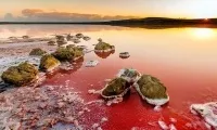 Кояшське (рожеве) озеро в криму - огляд з фото, де знаходиться на карті (фото) Кояшське (рожеве) озеро в криму - огляд з фото, де знаходиться на карті