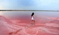 Кояшське (рожеве) озеро в криму - огляд з фото, де знаходиться на карті (фото) Кояшське (рожеве) озеро в криму - огляд з фото, де знаходиться на карті