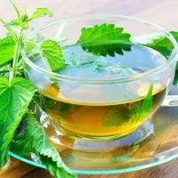 Кропива для схуднення