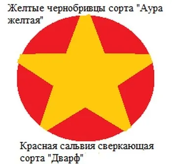 Гарні клумби з чорнобривців, схеми та поради організації (чорнобривців) Гарні клумби з чорнобривців, схеми та поради організації