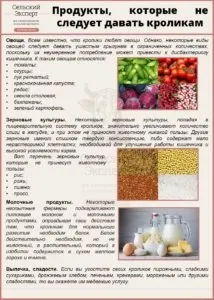 Кролики в ямі розведення і всі подробиці змісту (кролики) Кролики в ямі розведення і всі подробиці змісту