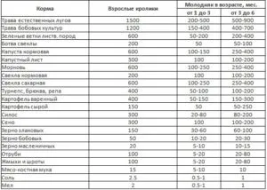 Кролики в ямі розведення і всі подробиці змісту (змісту) Кролики в ямі розведення і всі подробиці змісту