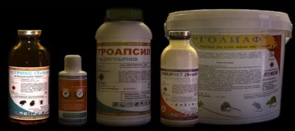 Куди поділися таргани чому зникли з великих міст і куди пішли (куди) Куди поділися таргани чому зникли з великих міст і куди пішли