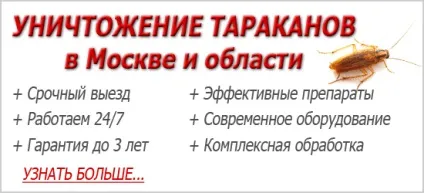 Куди поділися таргани чому зникли з великих міст і куди пішли (куди поділися таргани чому зникли з великих міст куди пішли) Куди поділися таргани чому зникли з великих міст і куди пішли