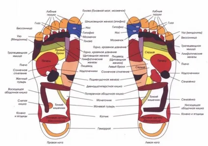 Купити пластир на стопи foot patch відгуки, інструкція, вплив (пластир на стопи foot patch) Купити пластир на стопи foot patch відгуки, інструкція, вплив