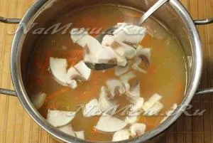 Локшина з куркою і грибами (грибами) Локшина з куркою і грибами