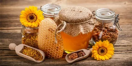 Лікування псоріазу прополісом, медом, пергою та іншими продуктами бджільництва (псоріазу) Лікування псоріазу прополісом, медом, пергою та іншими продуктами бджільництва