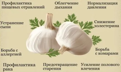 Лікування герпесу часником (герпесу) Лікування герпесу часником