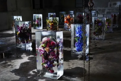 Лід і флористика в зимових весіллях () Лід і флористика в зимових весіллях