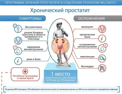 Лікування простатиту травами - рецепти, протипоказання (травами) Лікування простатиту травами - рецепти, протипоказання