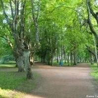 Ах, як багато ідіотів