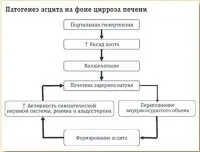 Асцит диференціальна діагностика і лікування - довідник поліклінічного лікаря №2 2016 - (лікування) Асцит диференціальна діагностика і лікування - довідник поліклінічного лікаря №2 2016 -