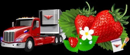 Автоперевезення свіжої полуниці по всейУкаіни, ТТК sapsan logistic (всієї) Автоперевезення свіжої полуниці по всейУкаіни, ТТК sapsan logistic