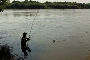 Літня блешня кого ловимо
