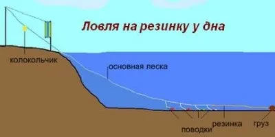 Ловля карася на резинку - всі подробиці від професіоналів (карась на гумку) Ловля карася на резинку - всі подробиці від професіоналів