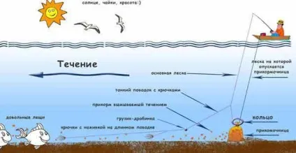 Ловля на кільце