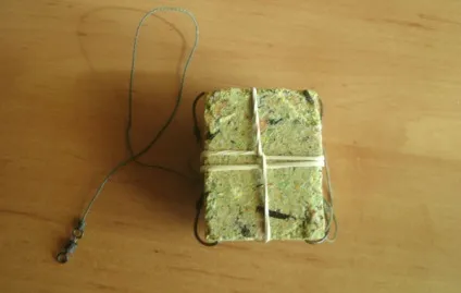 Ловля коропа на макух, рибалка на макушатнік відео (ловля коропа макушатнік) Ловля коропа на макух, рибалка на макушатнік відео