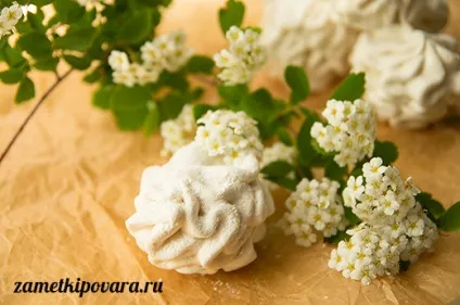 Літні рецепти, прості кулінарні рецепти з фотографіями (сливовий сорбет) Літні рецепти, прості кулінарні рецепти з фотографіями