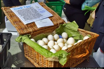 Лондонський ринок borough market - новини в фотографіях (borough) Лондонський ринок borough market - новини в фотографіях