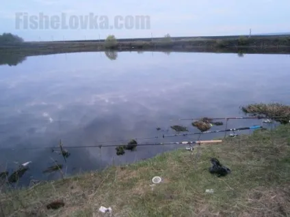 Ловля окуня на живця способи лову, снасті, вибір живця (способи) Ловля окуня на живця способи лову, снасті, вибір живця