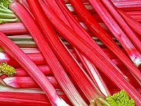 Кращі рецепти з ревеню, кулінарна стаття на